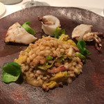 クッチーナ イタリアーナ ガッルーラ - 