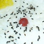 Sennichitei - お米が美味しい♪