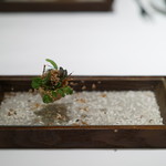 ア・ニュ ルトゥルヴェ・ヴー - 