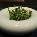 窯焼きステーキ 福田 - 新芽の和風サラダ