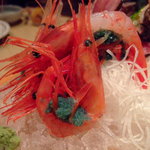 だい - たまごいっぱい 10.12