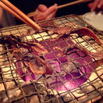 だい - ホタルイカ 10.05