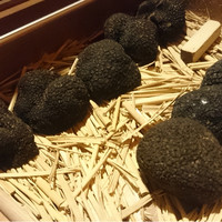 マルゴット エ バッチャーレ - 