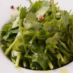 Coriander and green chili salad