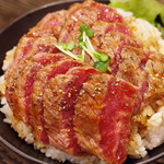 レッド ロック - ステーキ丼(斜め上から)