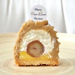 シャンドワゾー - '17.01モンブラン断面