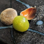 匠和 - 炒りぎんなん、きれいな色だね～