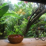 カフェぽぷり - 