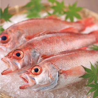 金沢市片町でおすすめの美味しい魚介 海鮮料理 すべて をご紹介 食べログ