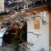 京料理 先斗町 富美家 - 外観
