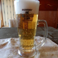 京料理 先斗町 富美家 - 生ビール