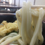 ひろ濱うどん - つるっとした硬コシの綺麗な麺