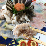 田中旅館 - これはエラかな？