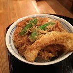 Tensaku - 掻き揚げ丼