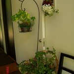 ザ・テラス・サクマ - 