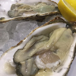 ビストロ ティアボ - 