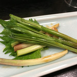 天一 - これ、最高