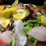 タケル クインディチ - 太刀魚・ワラサ・真鯵のカルパッチョ サラダ仕立て