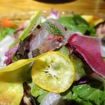 タケル クインディチ - 太刀魚・ワラサ・真鯵のカルパッチョ サラダ仕立て