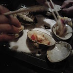 ぽんぽこたぬきのかくれ家 - 