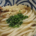 麺匠 釜善 - うどんの肌と汁色