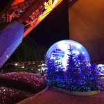 ワカヌイ グリル ダイニング バー 東京 - 