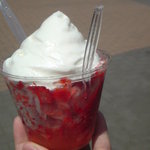 マウリ - シェーブイチゴ