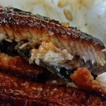 田代 - ほっこりふわっと、タレの香ばしさを楽しめます