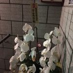 創作麺工房 鳴龍 - 