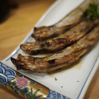 居酒屋 大ちゃん_1