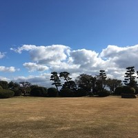 ジェームス邸 - 庭園