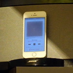 サンフォコン - この店の音源