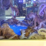 명동해물포차 - 