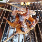 鎌田鳥山 - 野鳥コースの「うずら」♪