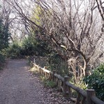 鎌田鳥山 - ハイキングコースから、お店に向かう道