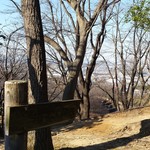 鎌田鳥山 - 都立長沼公園のハイキングコースの頂上付近