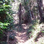 鎌田鳥山 - 駐車場からお店に向かう道
