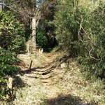 鎌田鳥山 - 山道というか獣道を通ってお店に向かいます