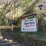 鎌田鳥山 - ここから山道を登ってお店に向かいます