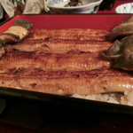 うなぎ割烹 大江戸 - 