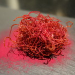 セララバアド - 毛玉　ビーツ