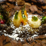 セララバアド - 冬の大地