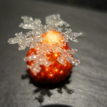 セララバアド - 雪の結晶