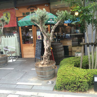 イル ギオットーネ 京都本店 - 