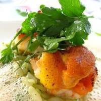 モナリザ 丸の内店 - 