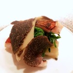 エクアトゥール - 