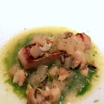 エクアトゥール - 