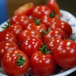 大船 - 付け合せプチトマト