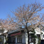 Kyou Bu An - 春は桜が満開