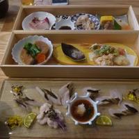 IKOI japanesecuisine - 